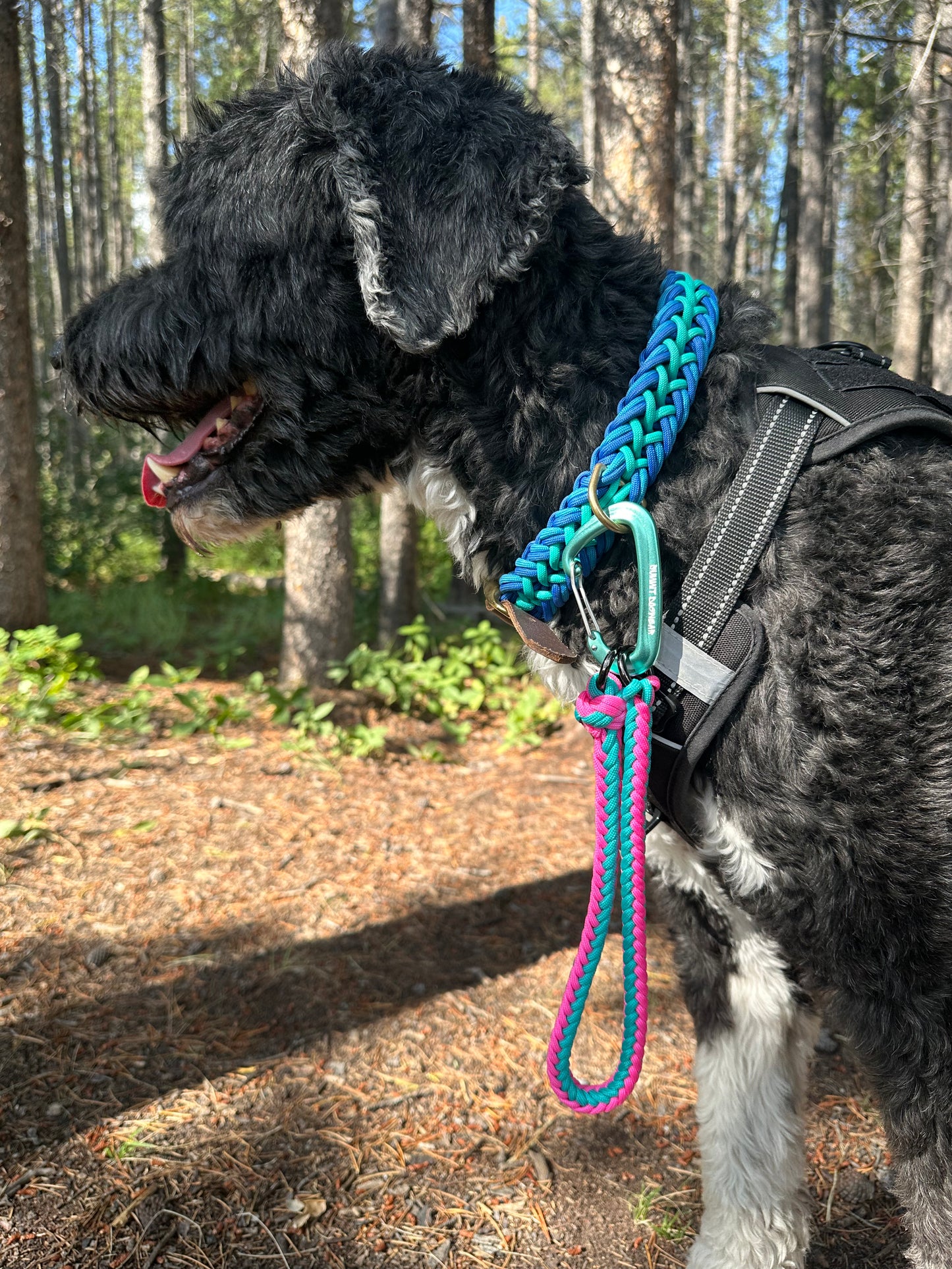 Traffic Lead/Key Chain with Carabiner