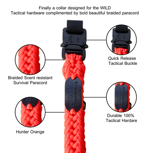 The "Wildfire Orange" Tactical Paracord Collar