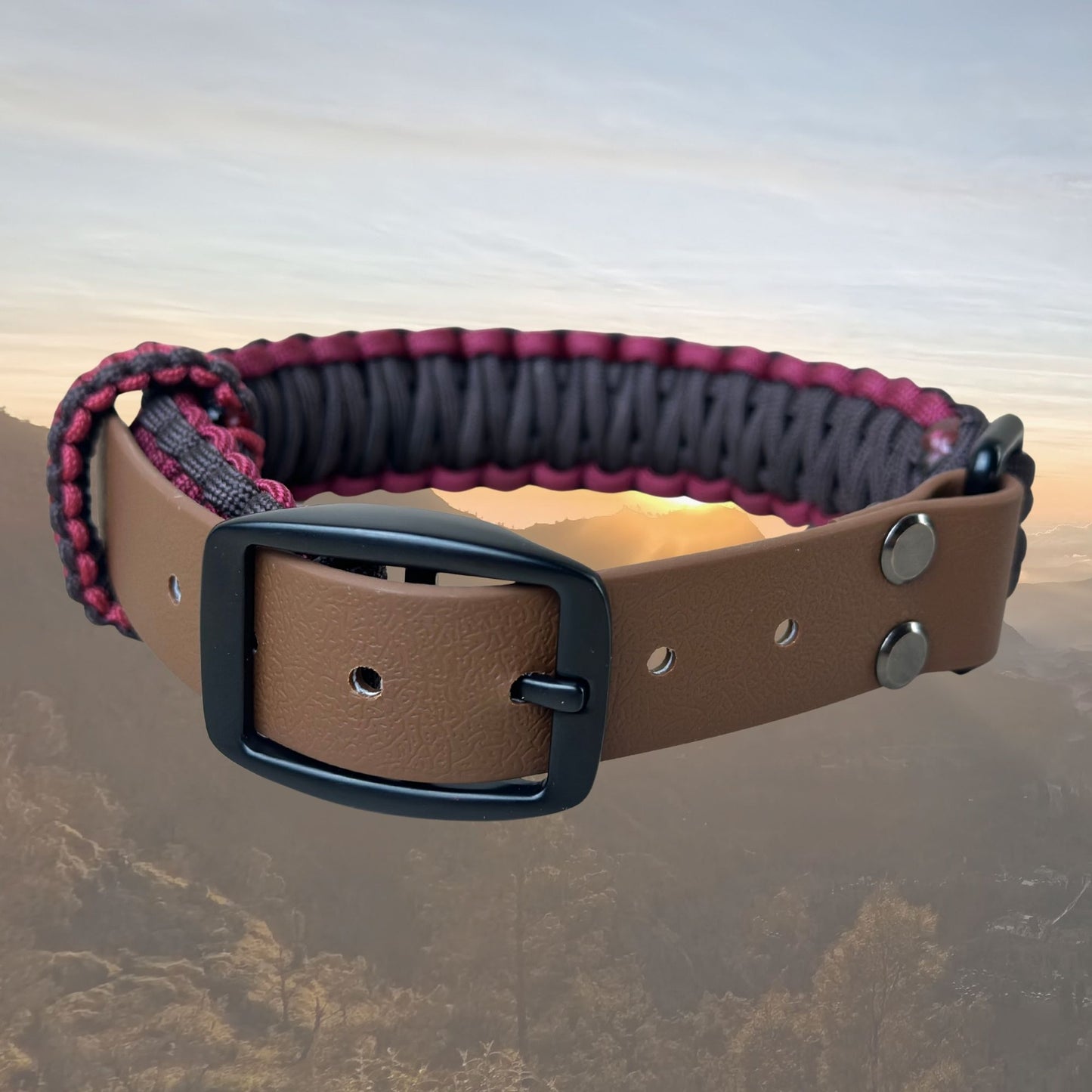 The "Classic" Paracord Belt Style Collar