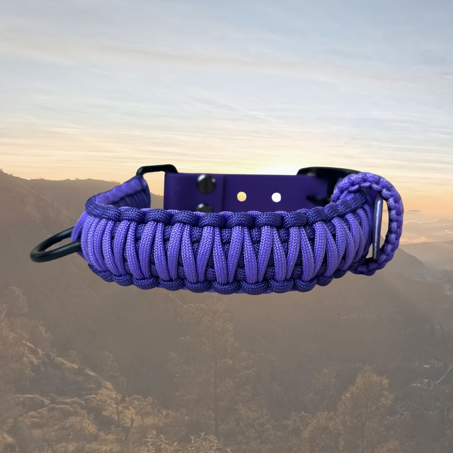 The "Classic" Paracord Belt Style Collar