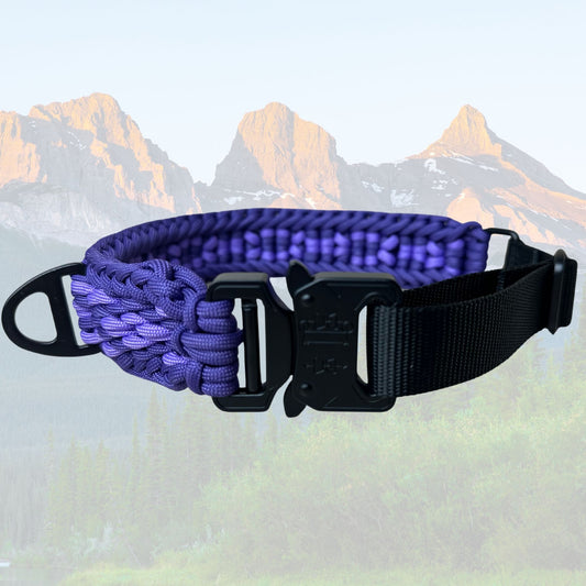 The "Amethyst" Tactical Paracord Collar