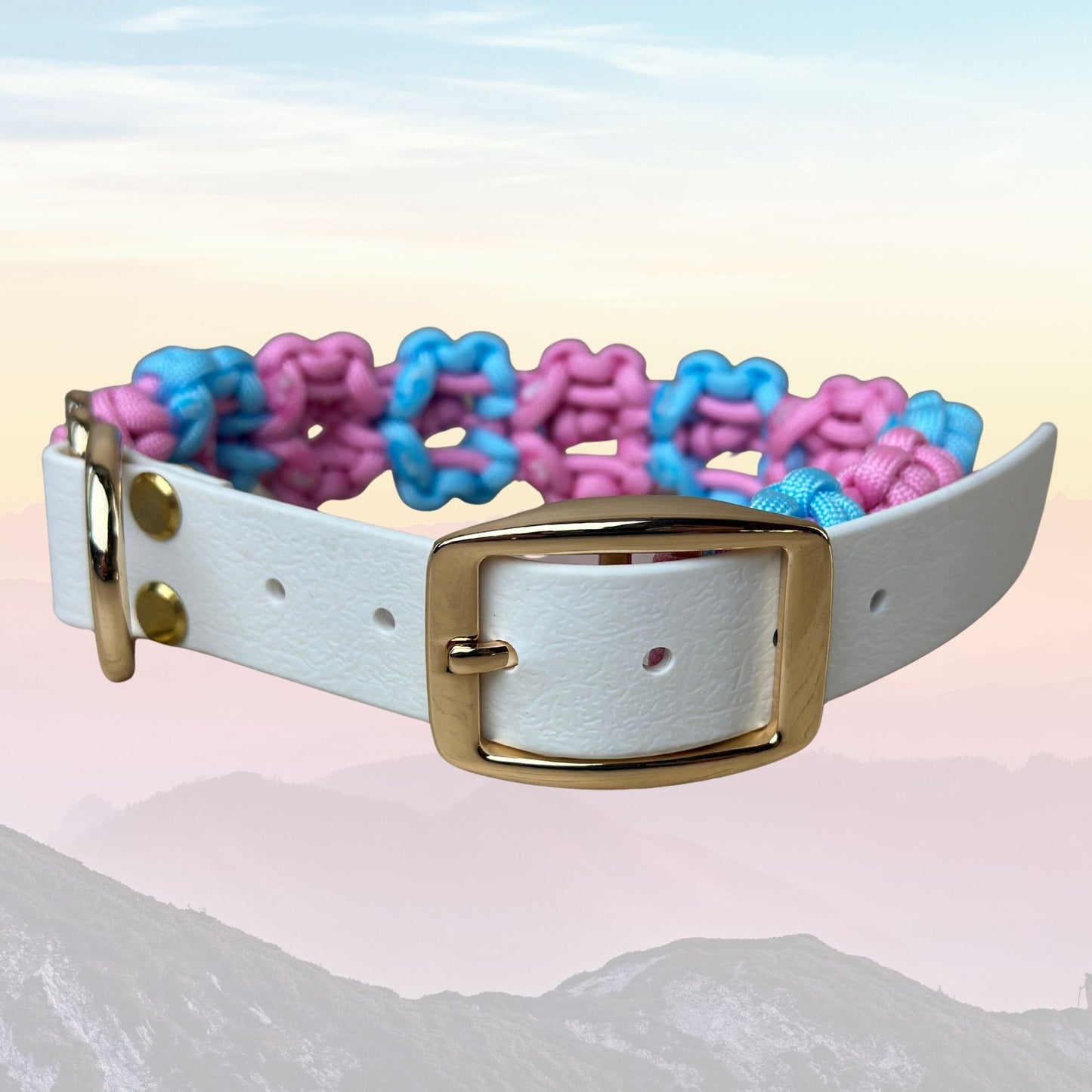 Wildflower Premium Paracord Collar