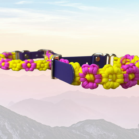 Wildflower Premium Paracord Collar
