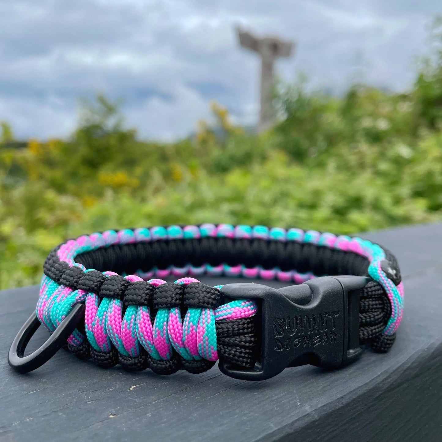 Cotton Candy Cub Collar