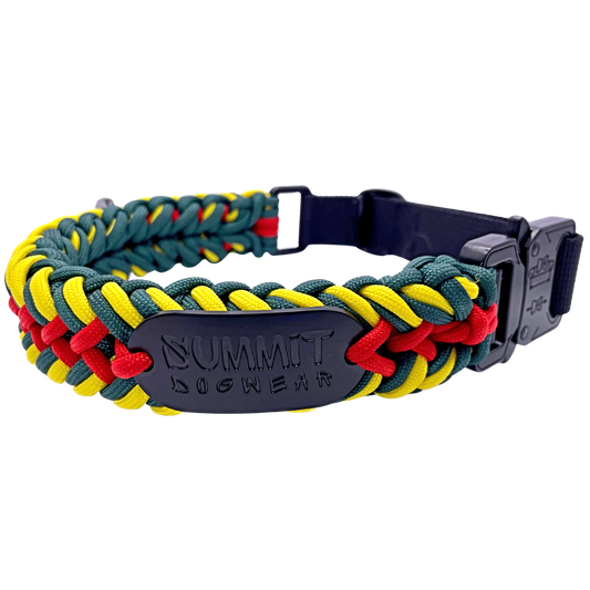 Premium Tactical Paracord Dog Collar in Rasta