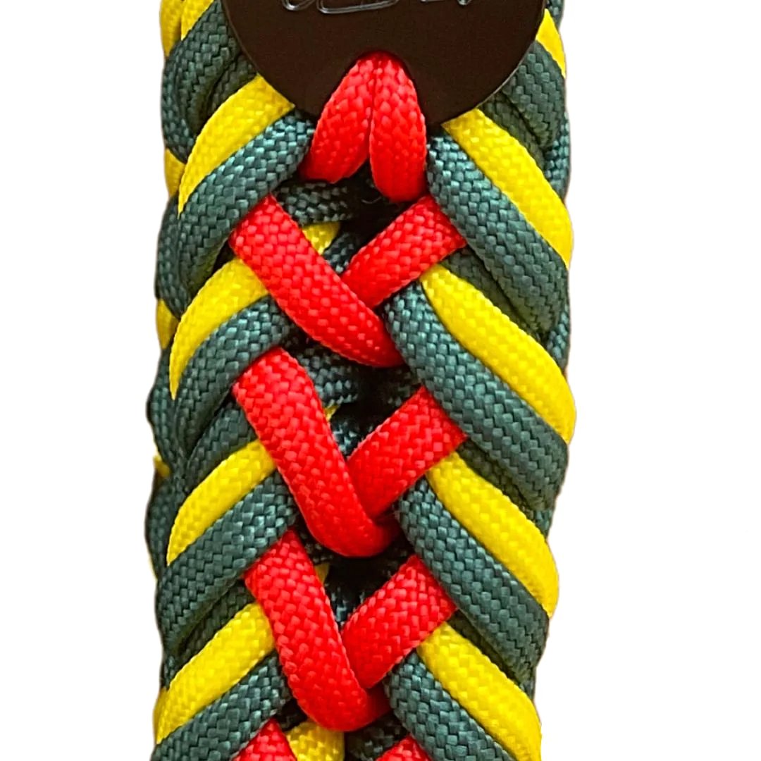 Premium Tactical Paracord Dog Collar in Rasta