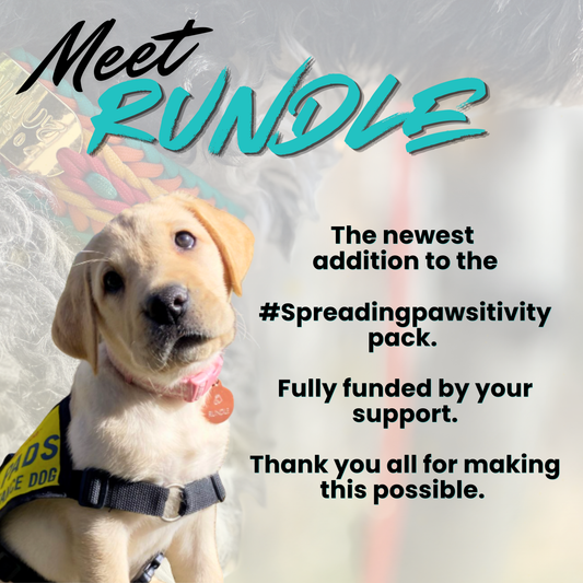 Meet Rundle! The newest member of the #SpreadingPawsitivity Service Dog Pack.