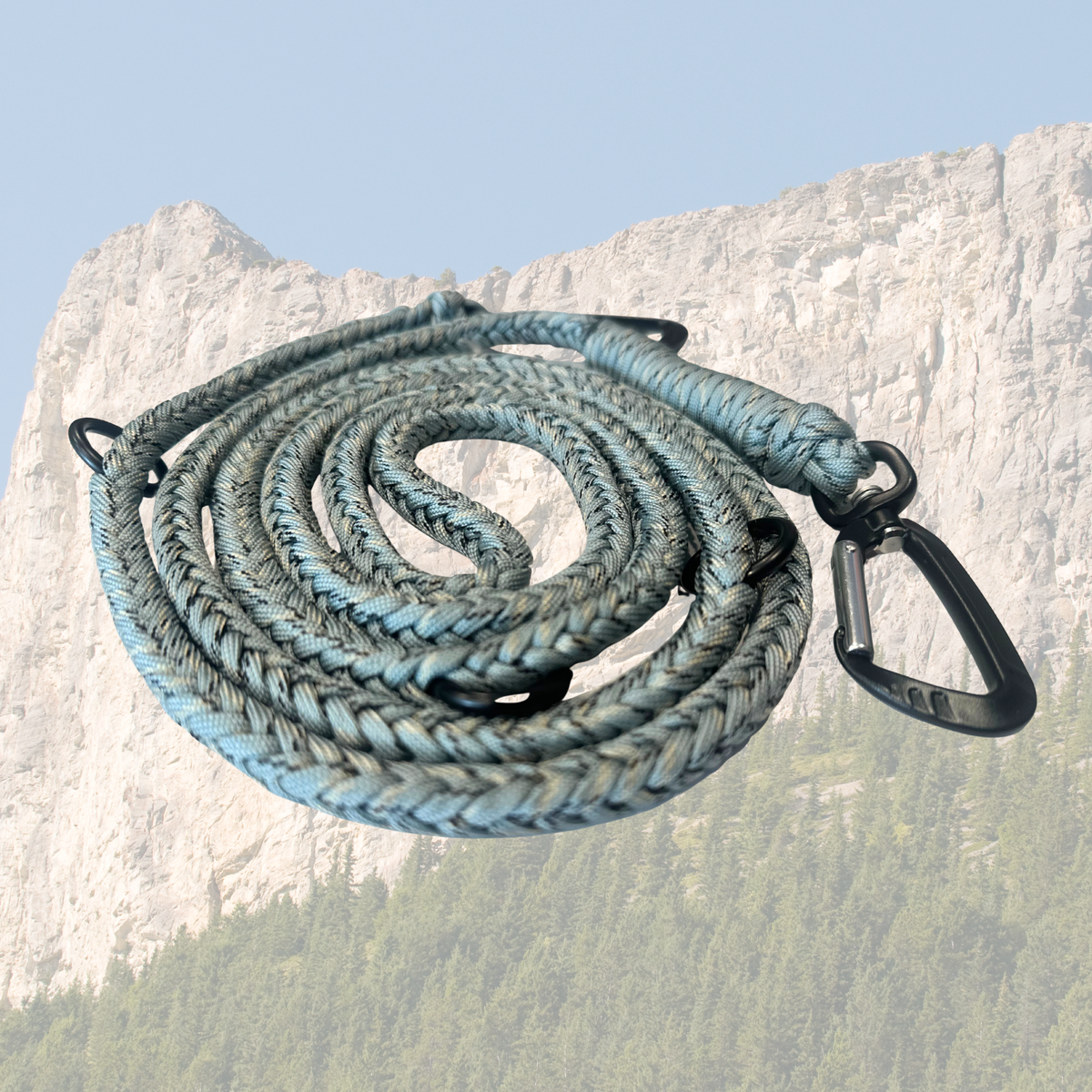 The Tactical Multi-Leash (Carabiner)