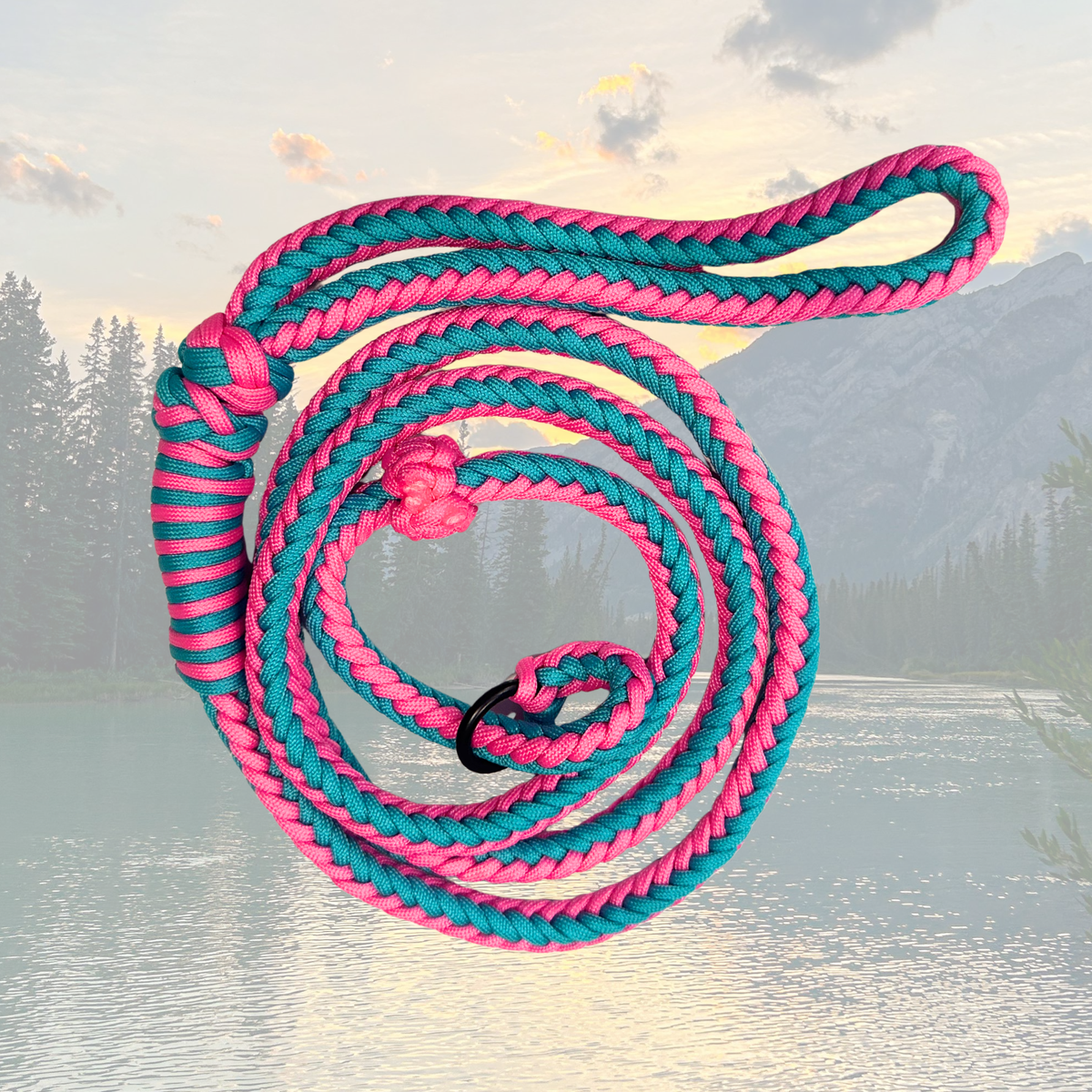 Summit Series Paracord Slip Leash