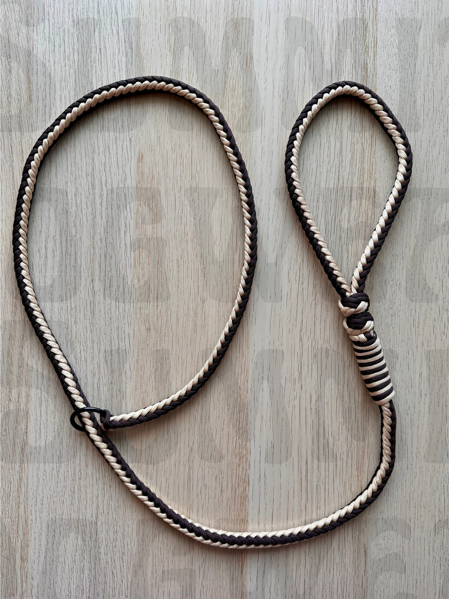 Summit Series Paracord Slip Leash