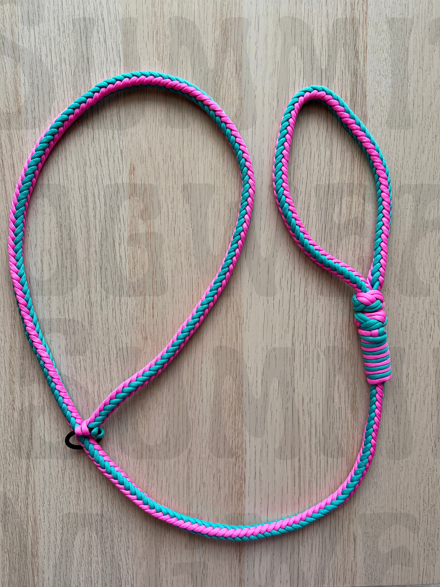 Summit Series Paracord Slip Leash