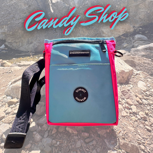 The Ultimate Treat Pouch