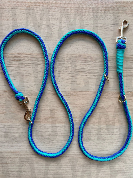 The Multi-Leash