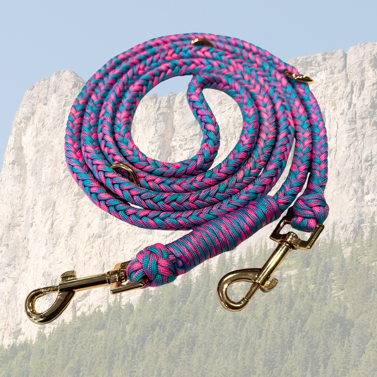 The Multi-Leash (Gold Clasp)