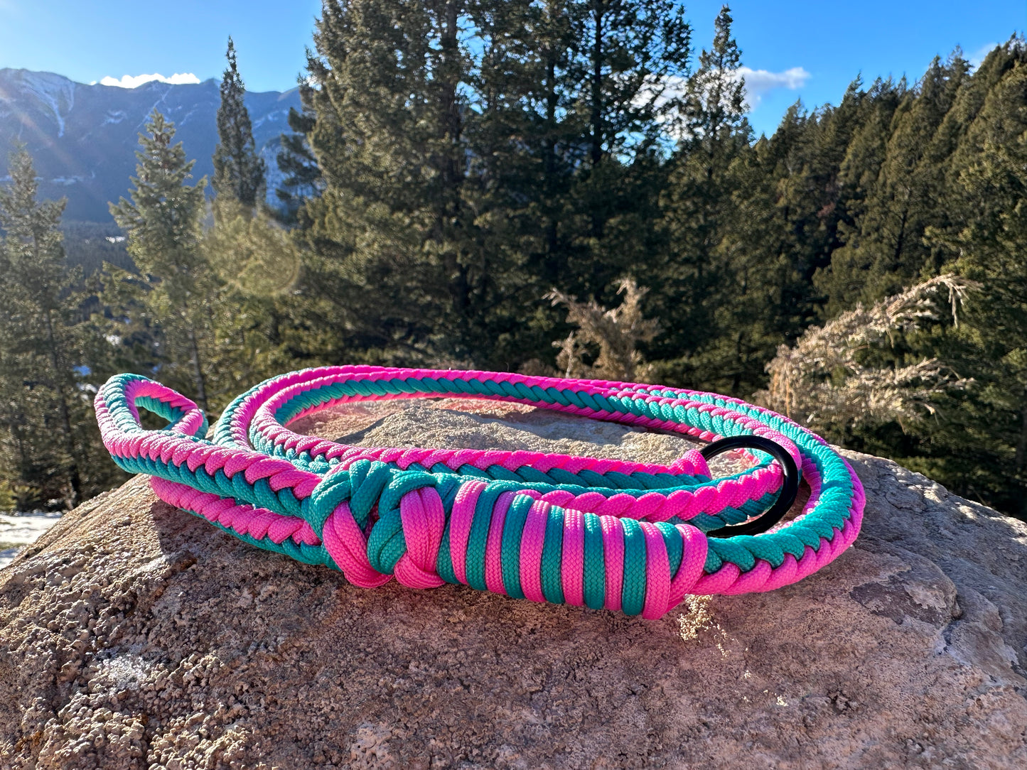 Summit Series Paracord Slip Leash