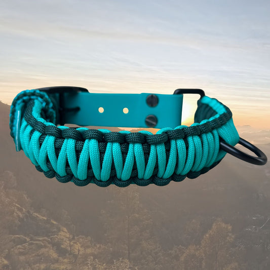 The "Classic" Paracord Belt Style Collar