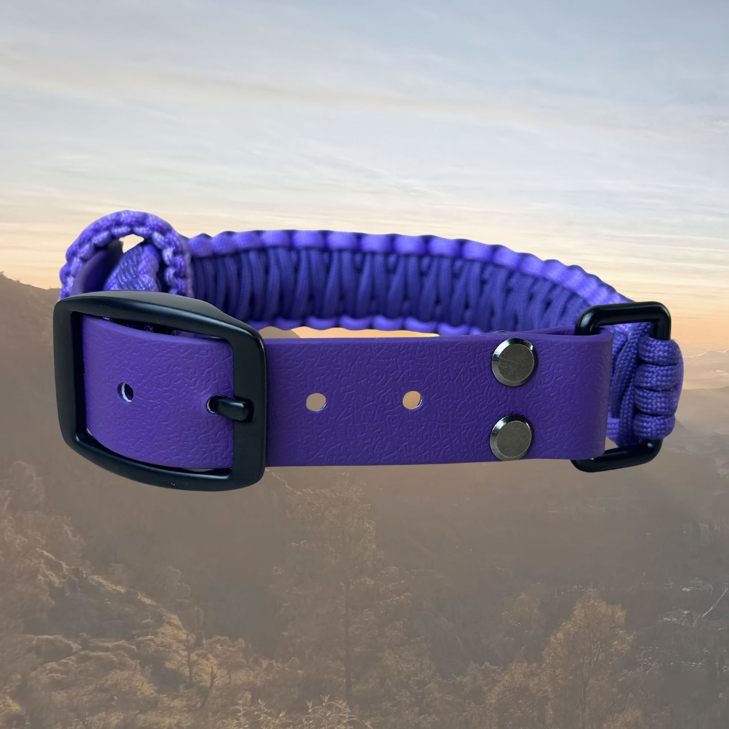 The "Classic" Paracord Belt Style Collar