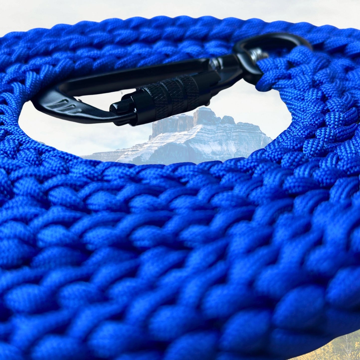 The "Jasper 2.0" Adventure Leash (Auto-locking)