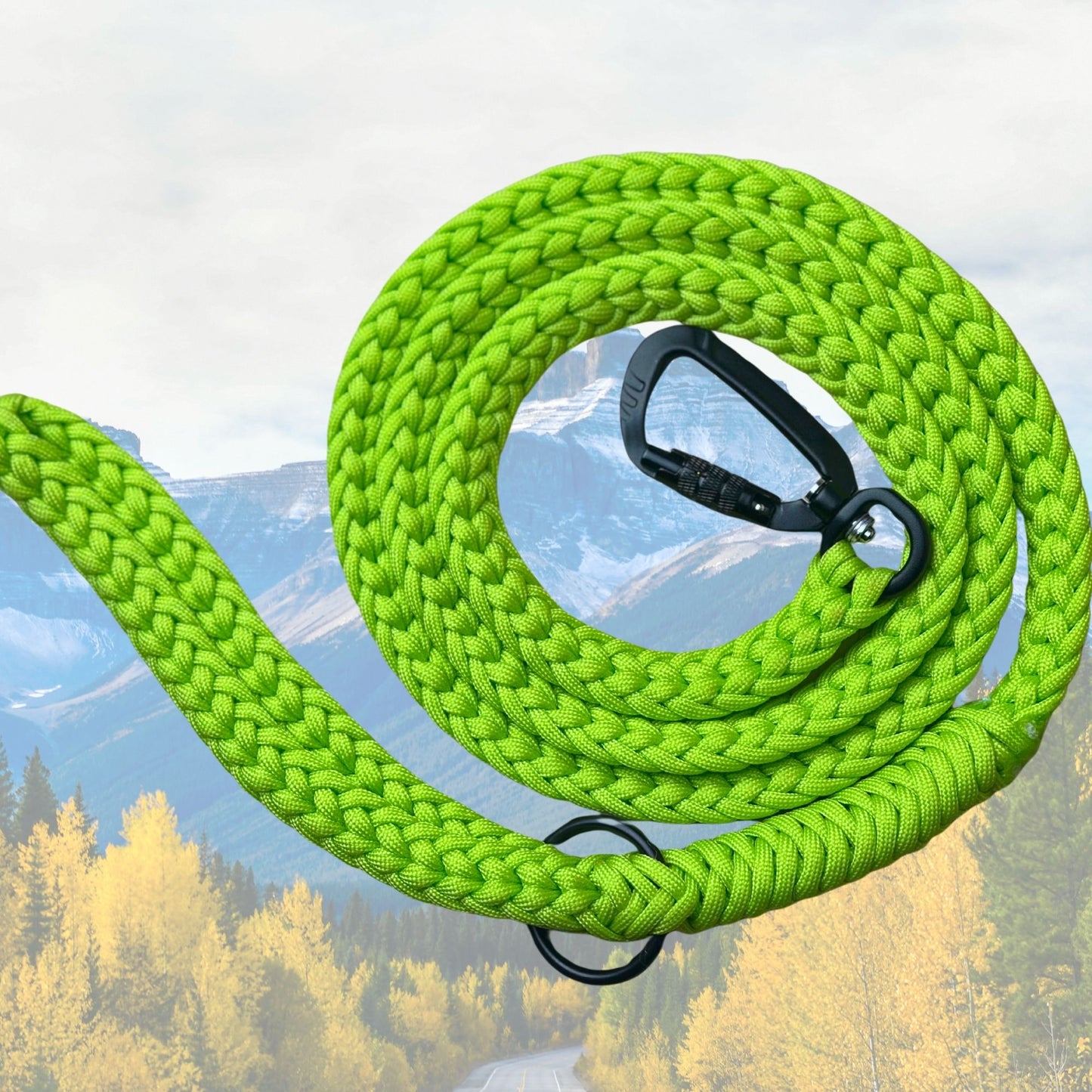 The "Jasper 2.0" Adventure Leash (Auto-locking)