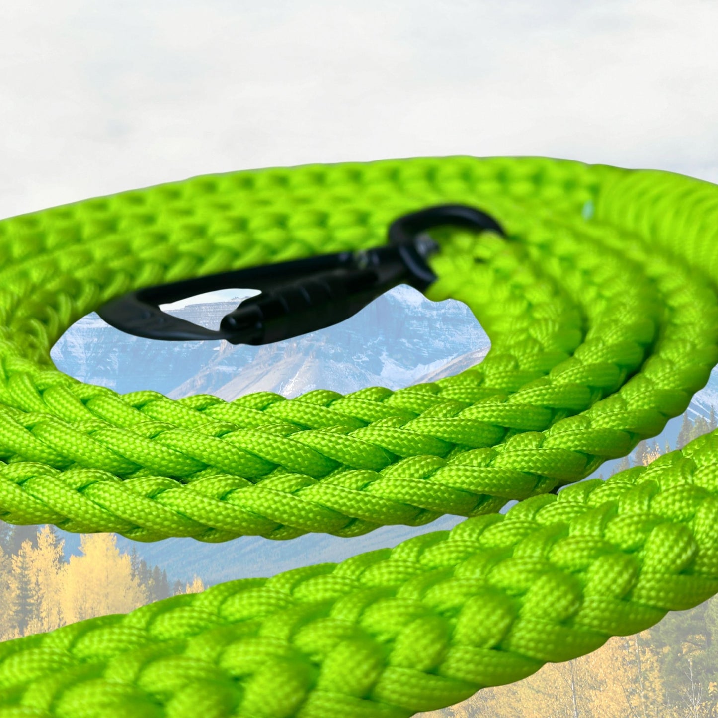 The "Jasper 2.0" Adventure Leash (Auto-locking)