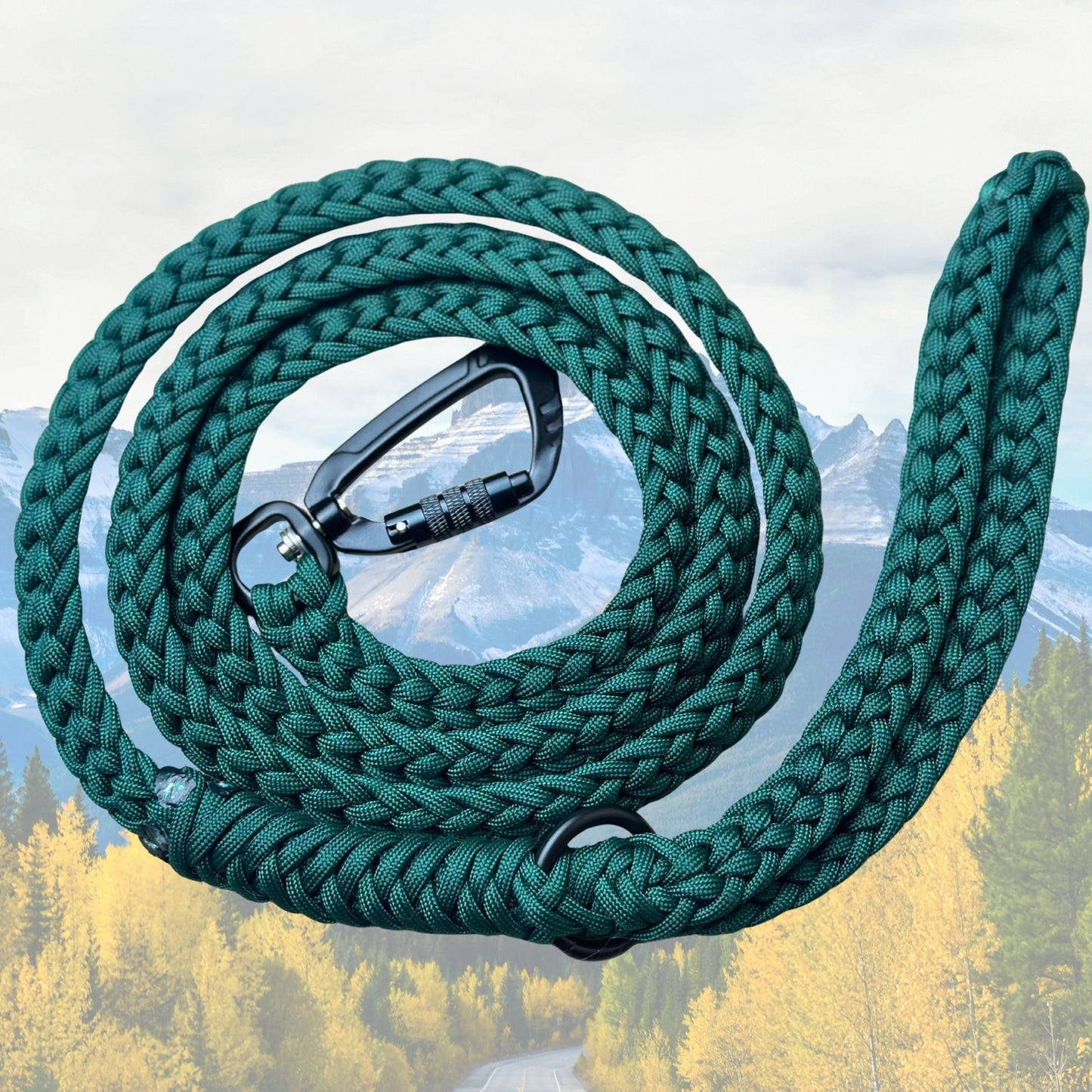 The "Jasper 2.0" Adventure Leash (Auto-locking)