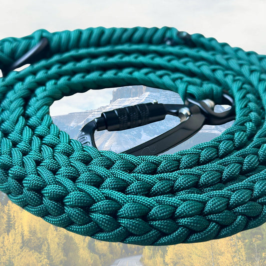 The "Jasper 2.0" Adventure Leash (Auto-locking)