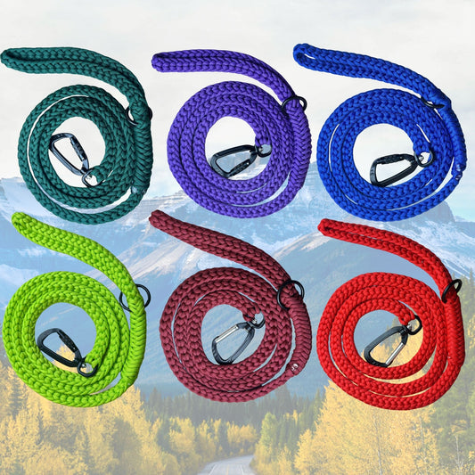 The "Jasper 2.0" Adventure Leash (Auto-locking)