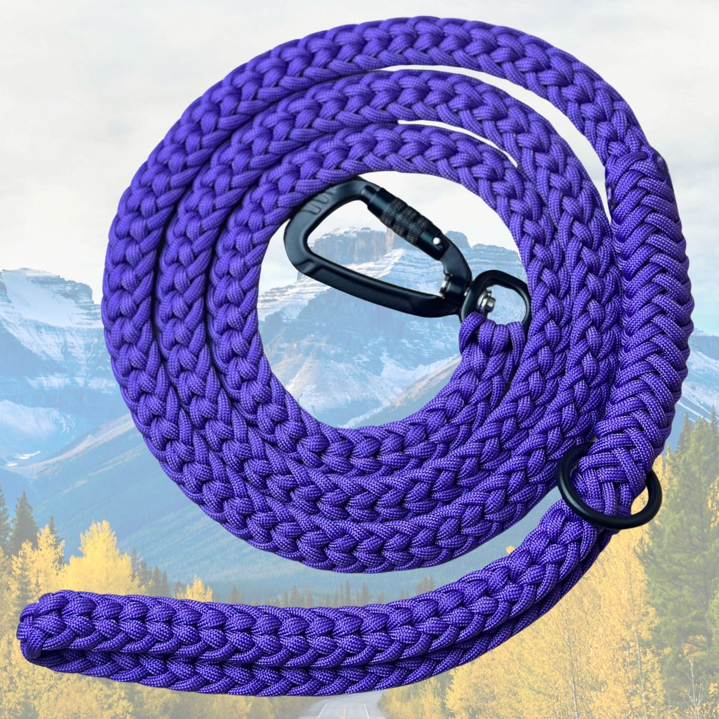 The "Jasper 2.0" Adventure Leash (Auto-locking)