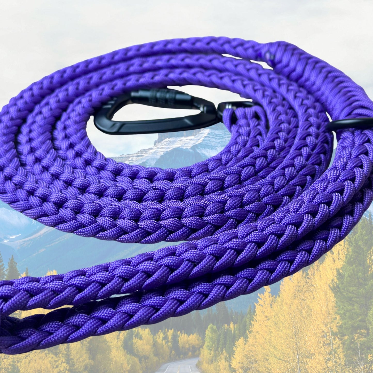 The "Jasper 2.0" Adventure Leash (Auto-locking)