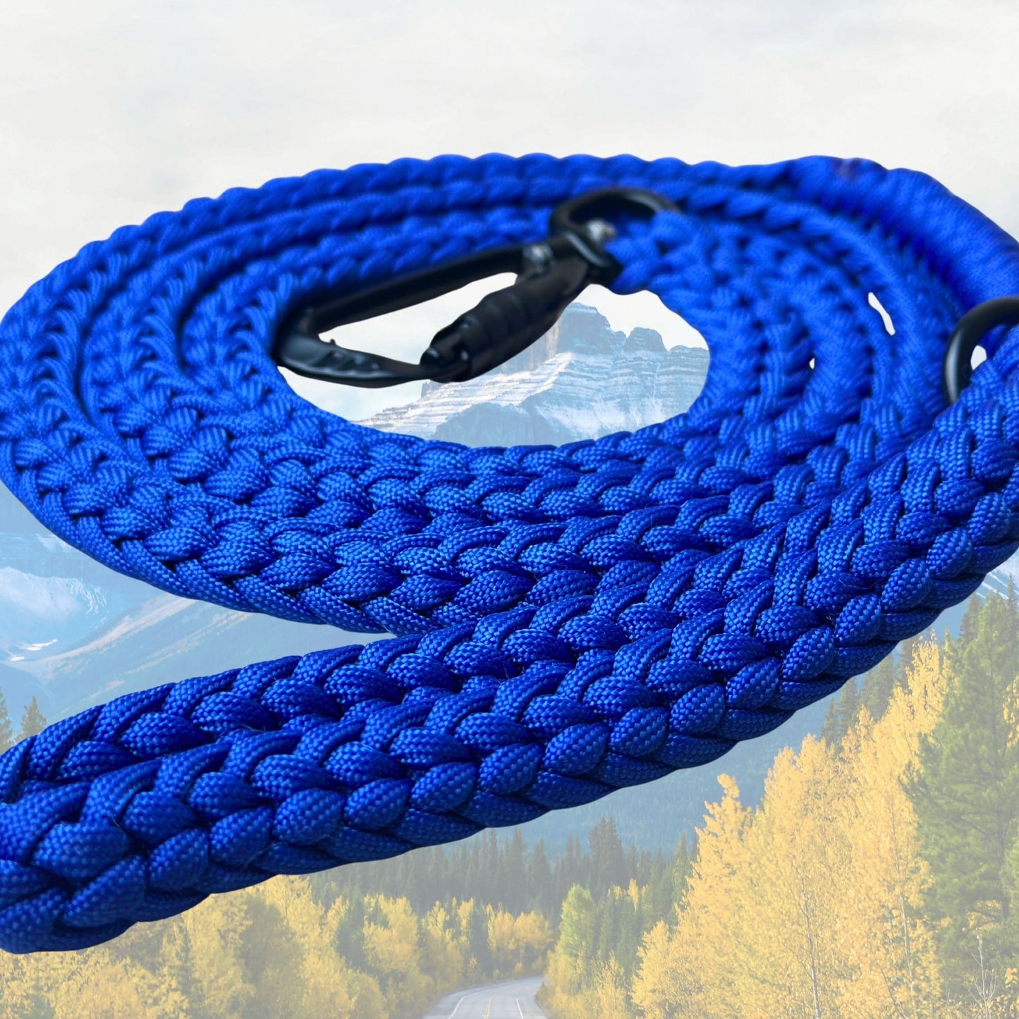 The "Jasper 2.0" Adventure Leash (Auto-locking)