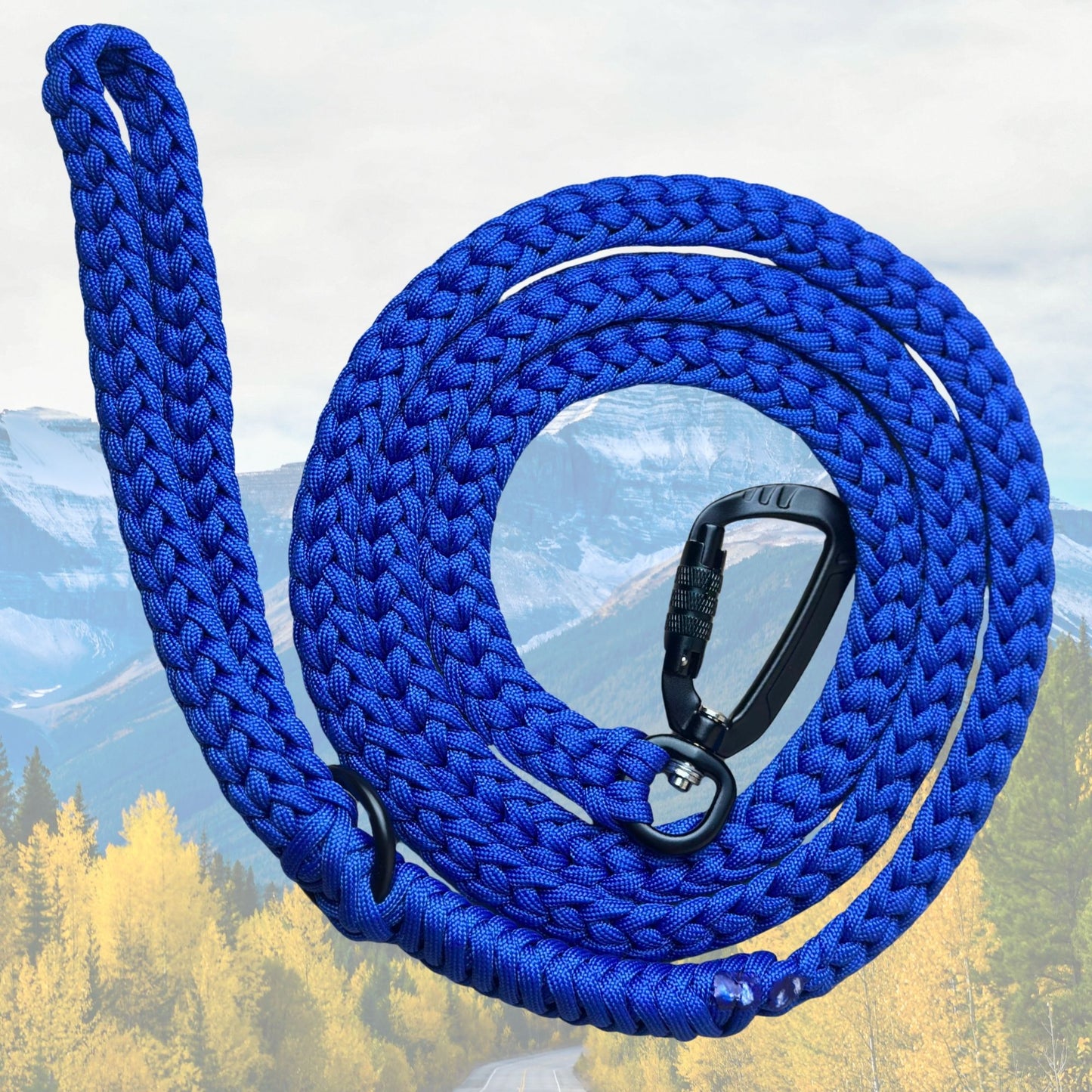 The "Jasper 2.0" Adventure Leash (Auto-locking)