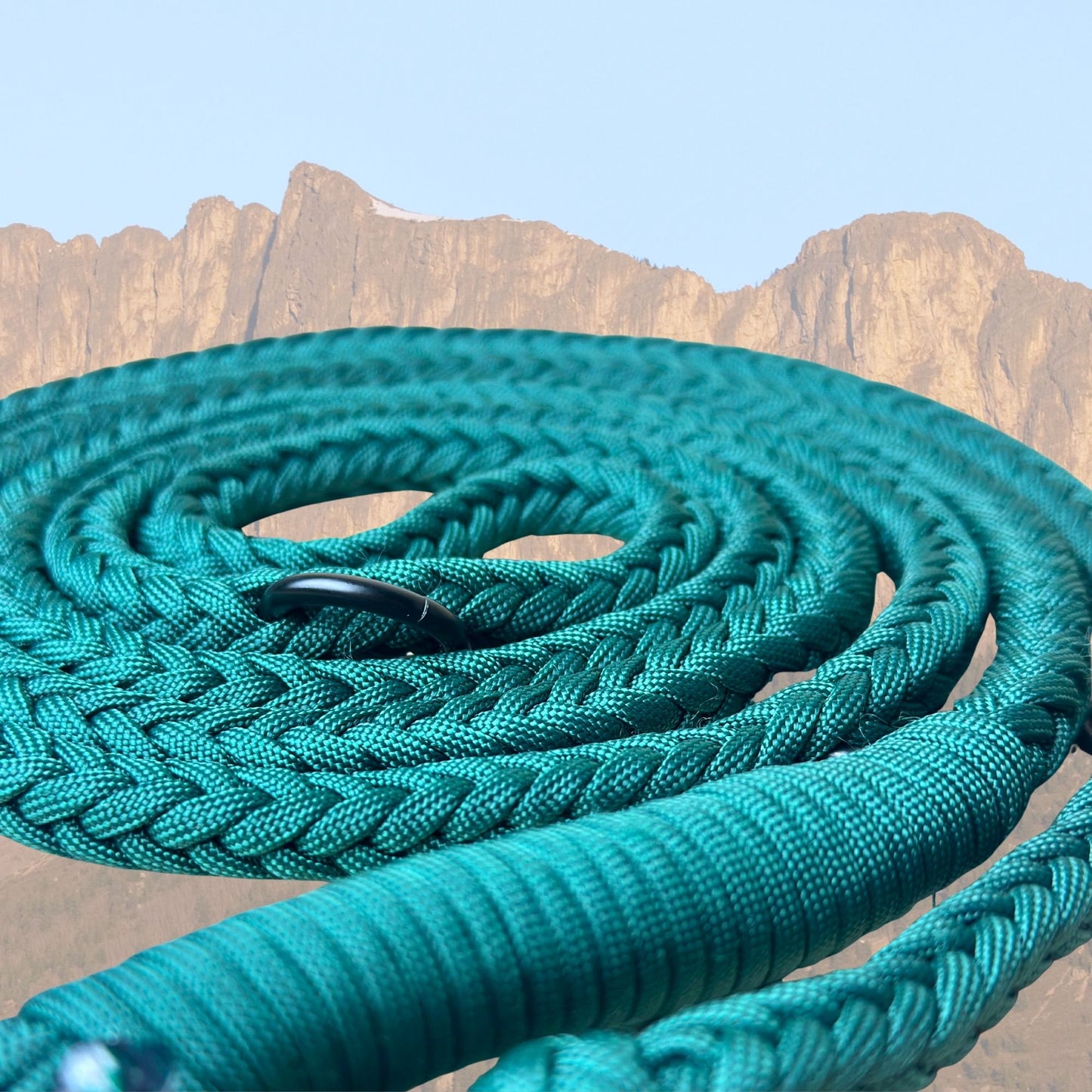 The Tactical Multi-Leash (Carabiner)