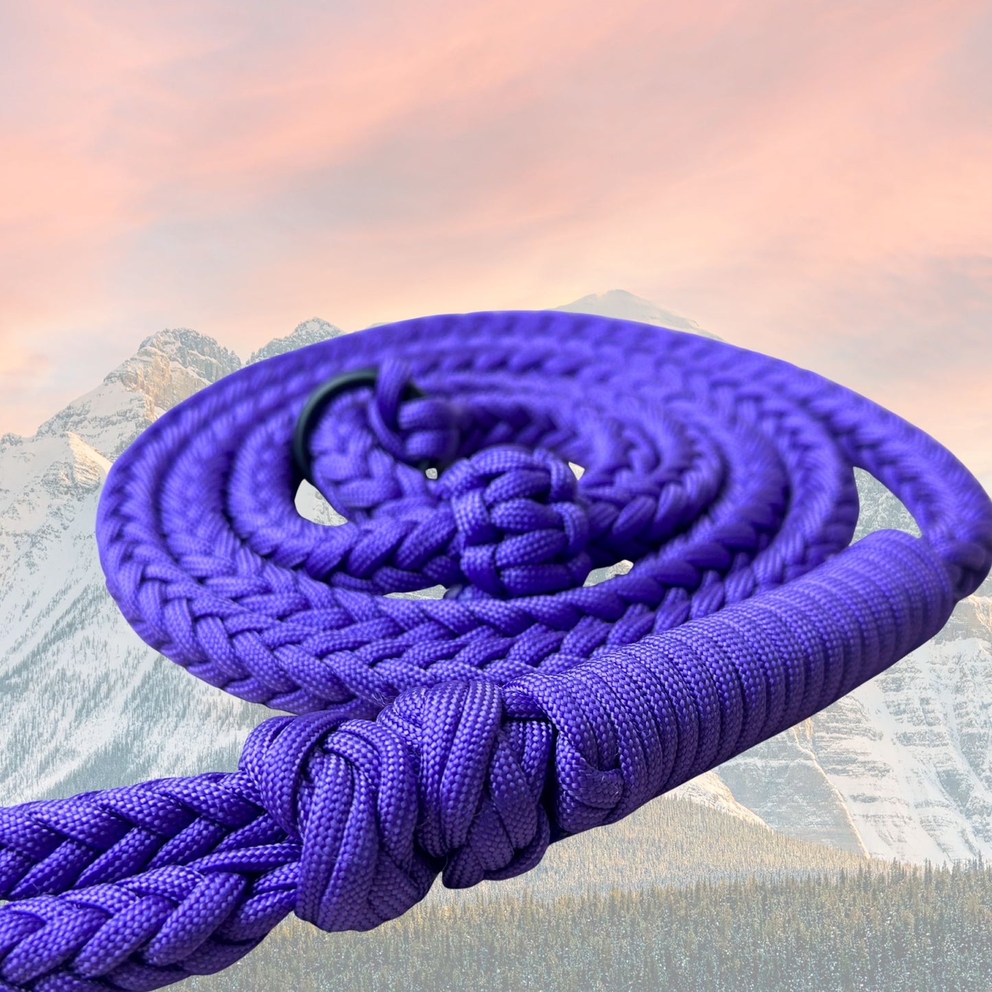 Summit Series Paracord Slip Leash