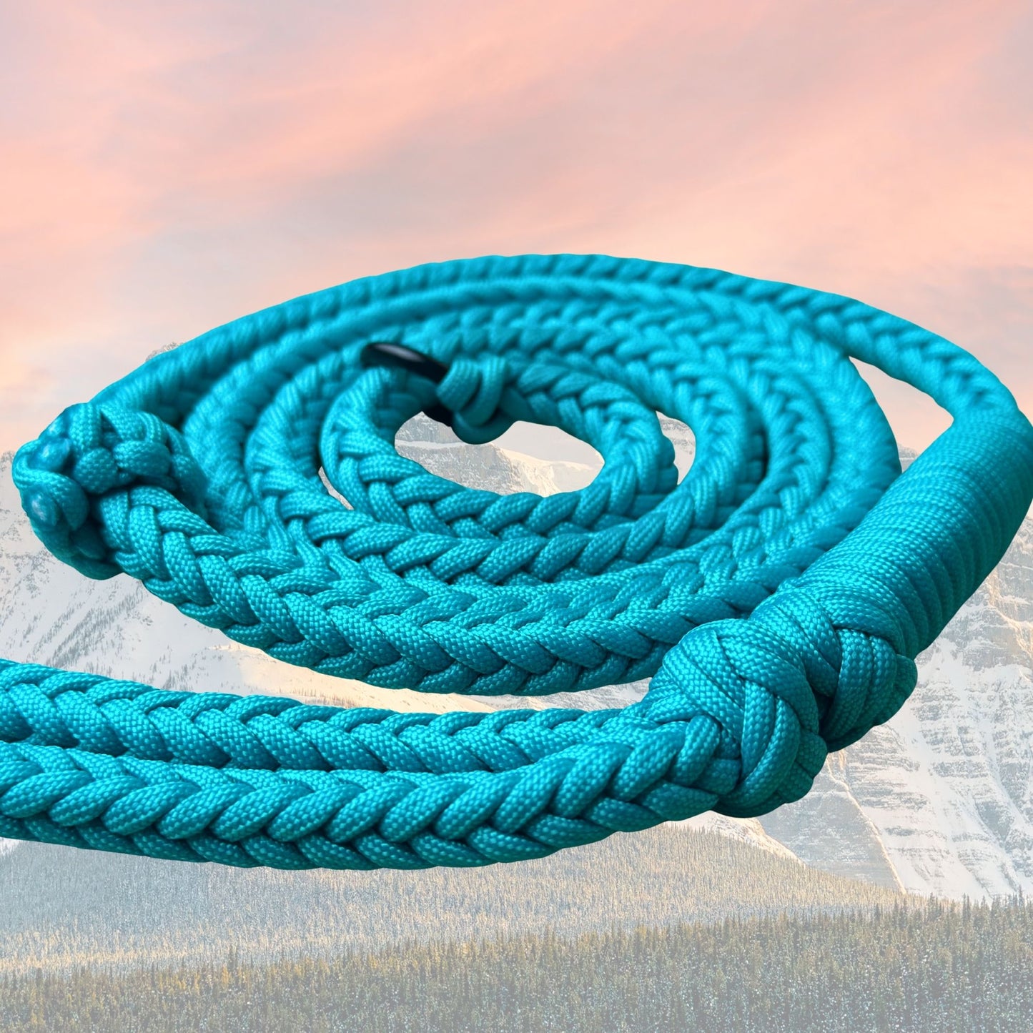Summit Series Paracord Slip Leash