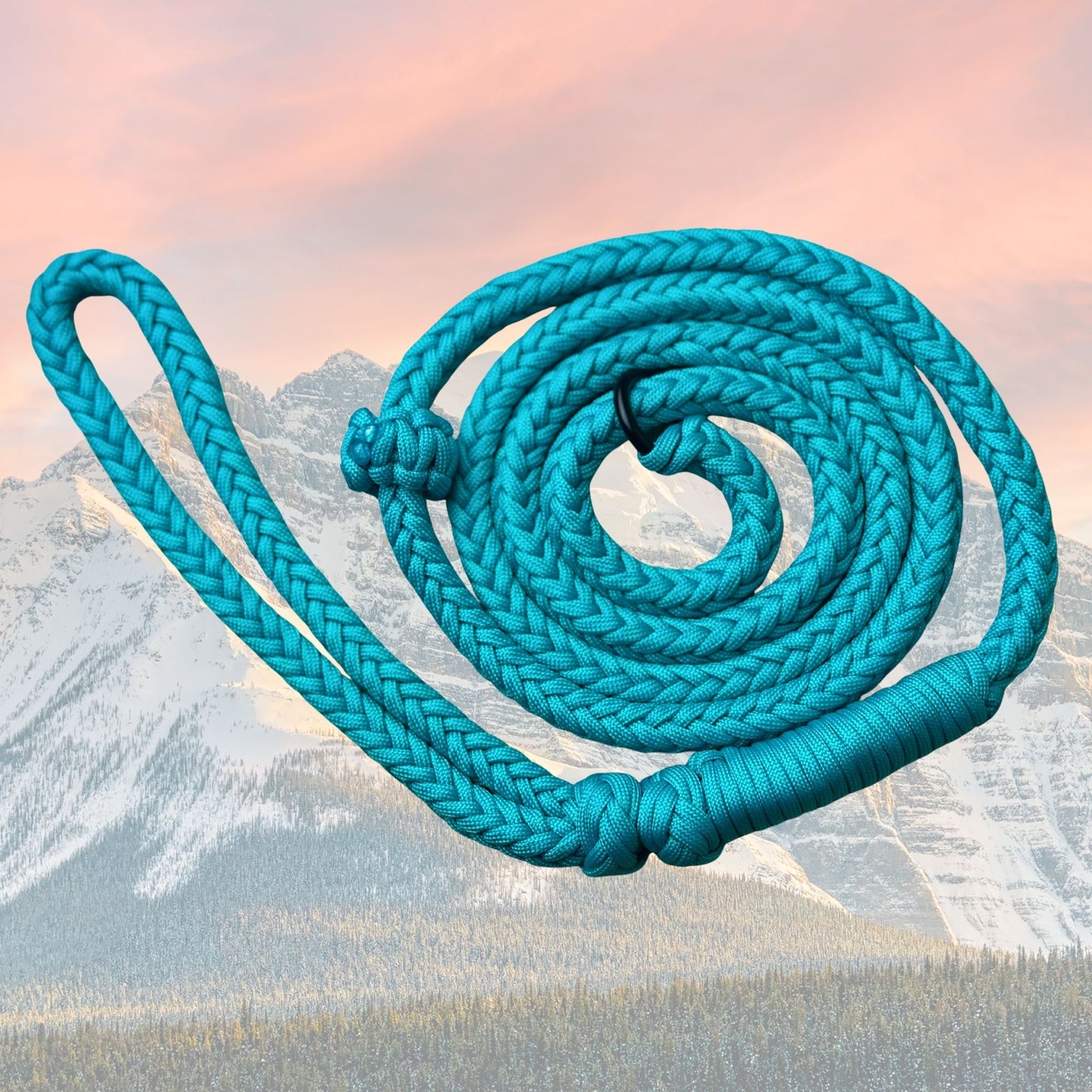 Summit Series Paracord Slip Leash