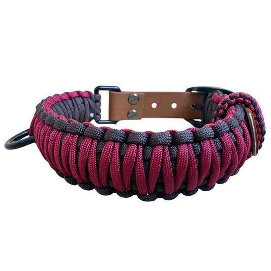 Dog collar belt style 2025