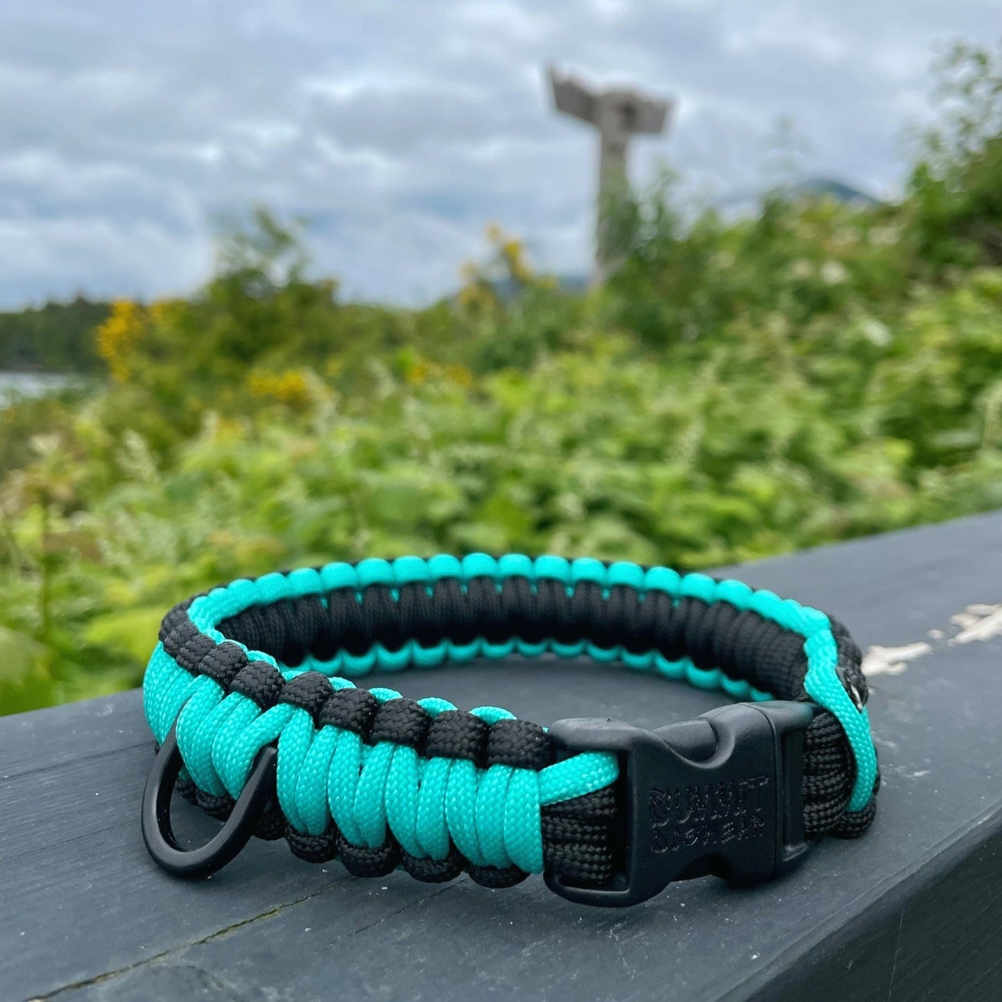 Small Paracord Dog Collar In Teal with Totem Pole in The Background