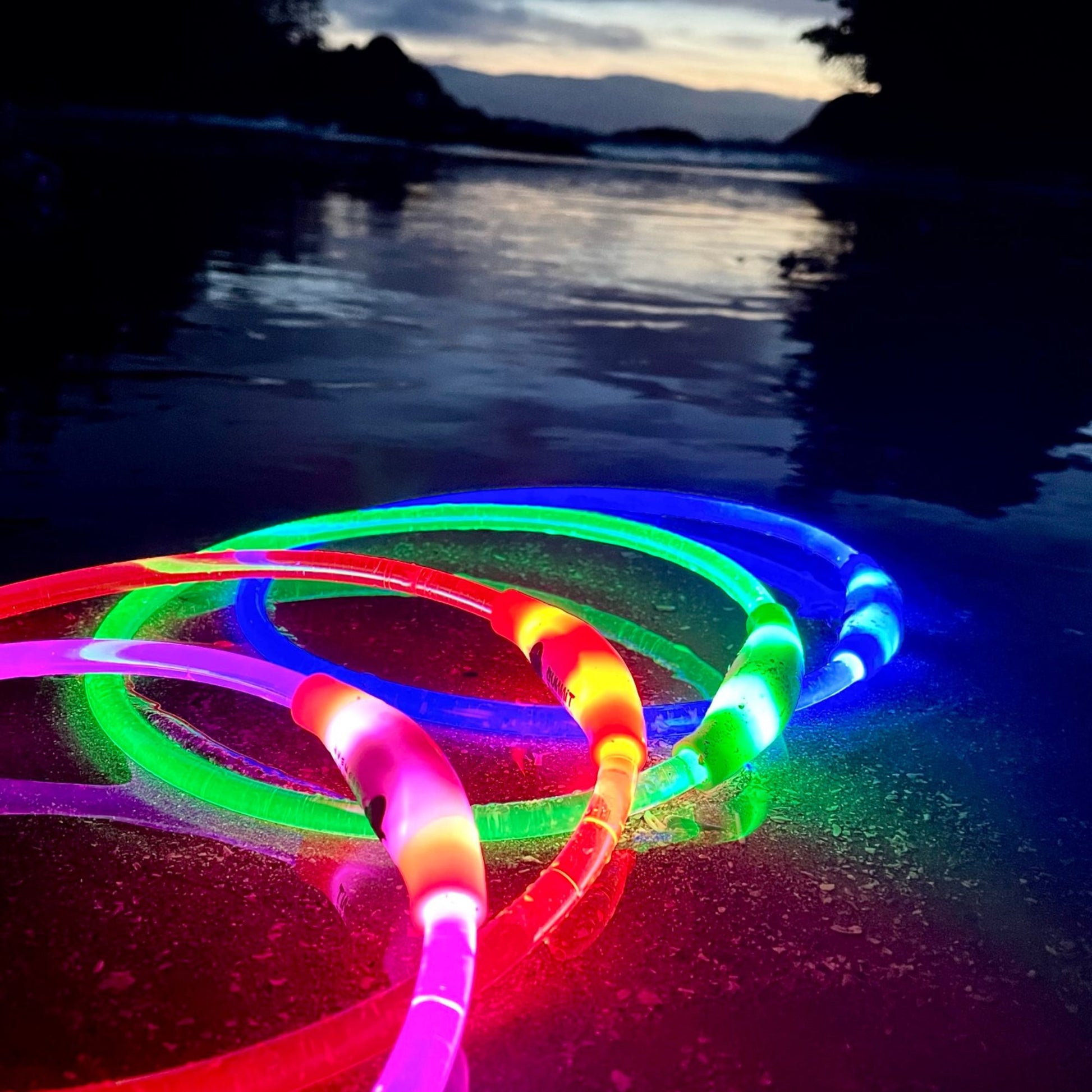 USB Rechargable Light Up Collar In Blue, Pink, Green and Red On Beach in Tofino, Canada
