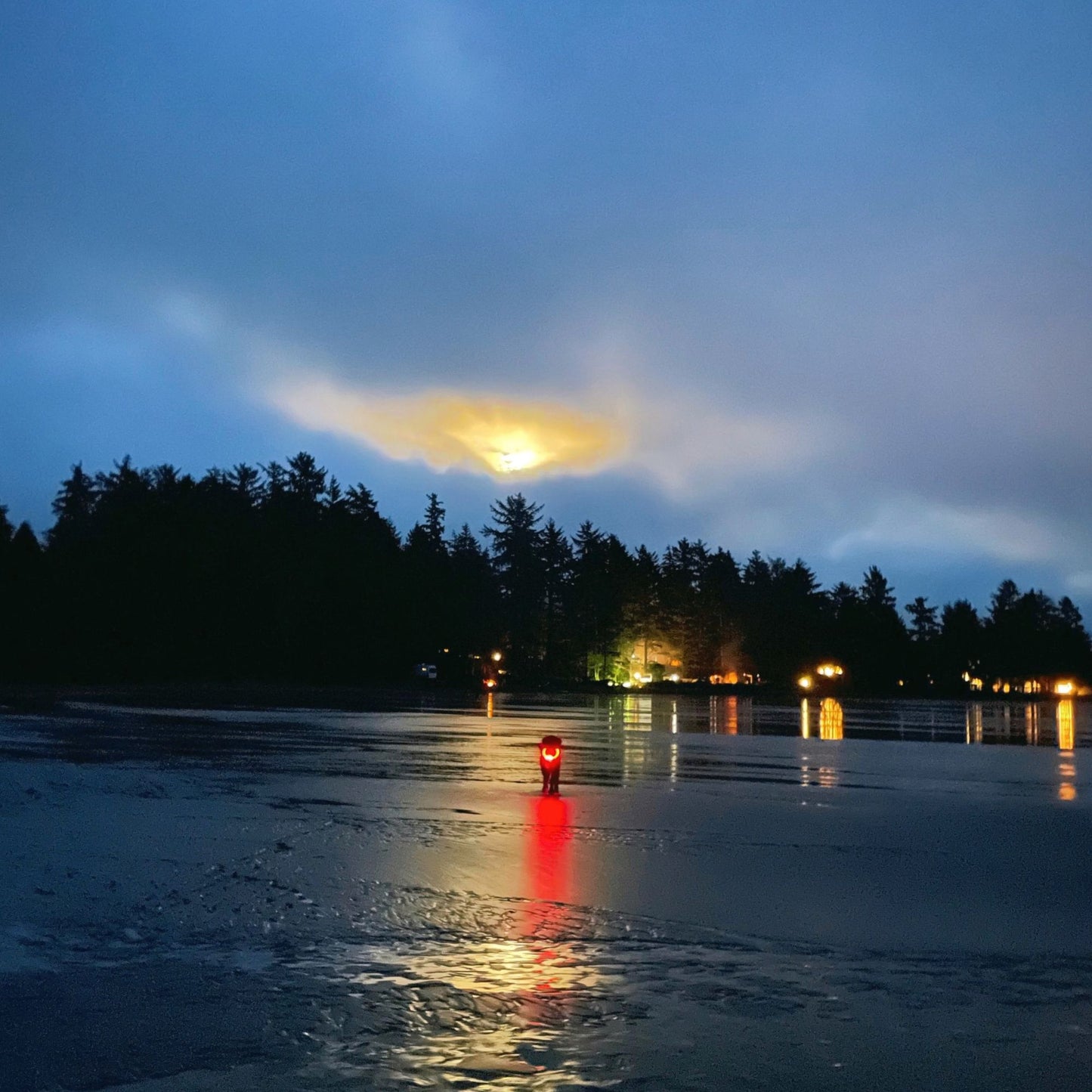 Dog Wearing A Red Summit Dogwear Light Up Collar On Below a Full Moon On a Beach In Canada