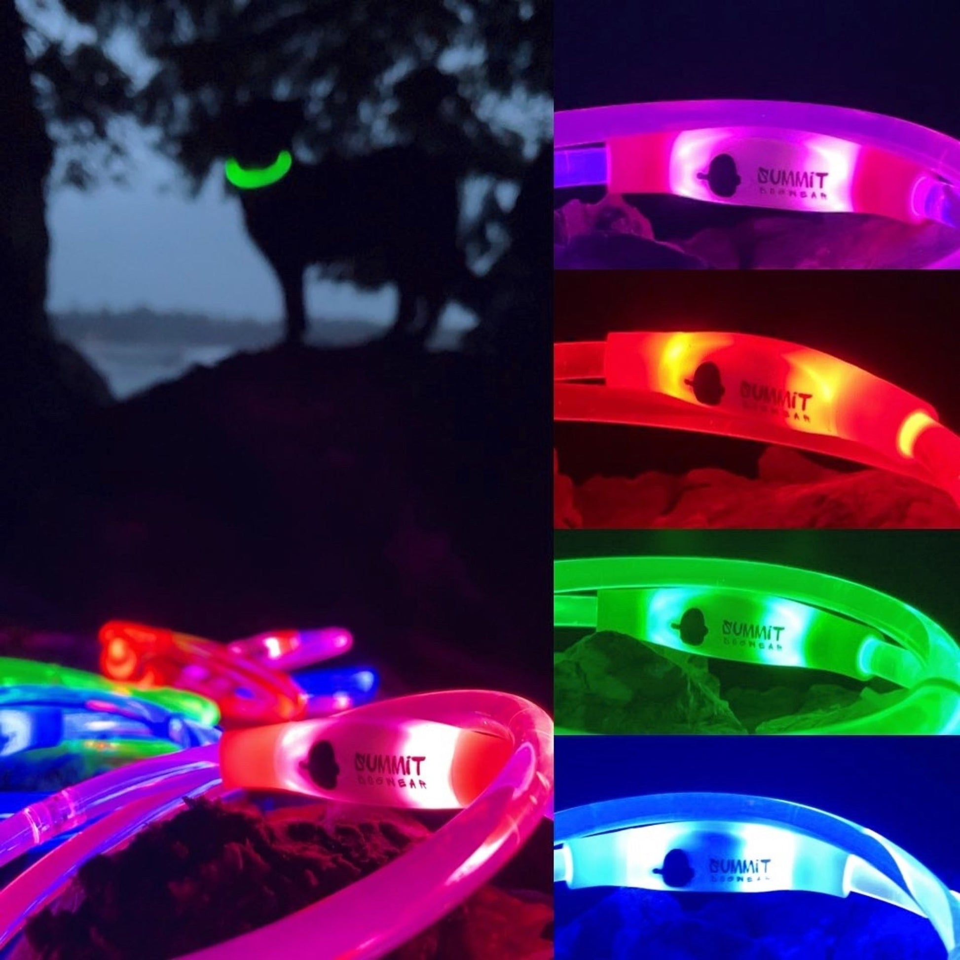 USB Rechargable Light Up Collar In Blue, Pink, Green and Red