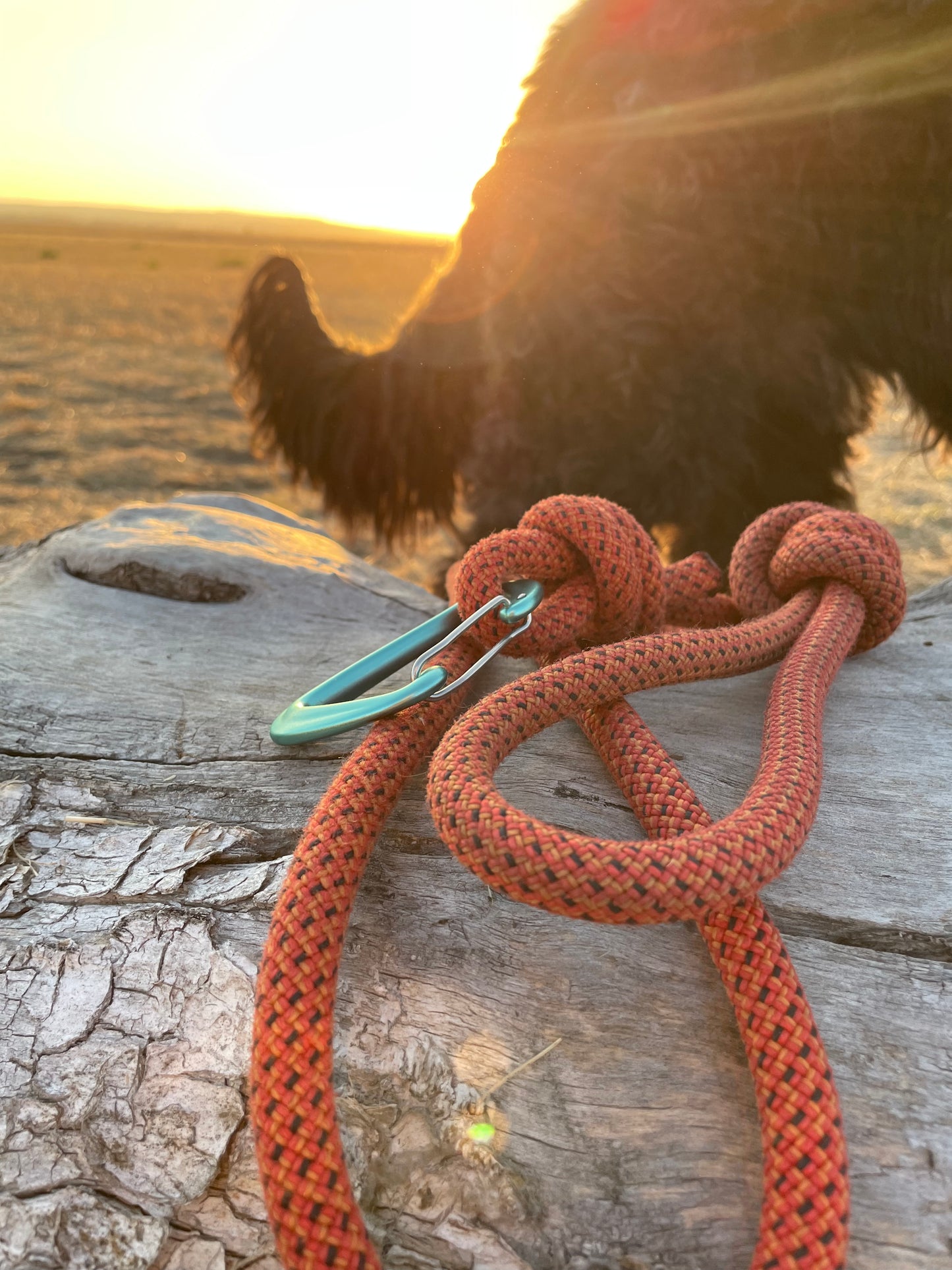 Rope Long Leash made from Upcycled Climbing Rope In Canada