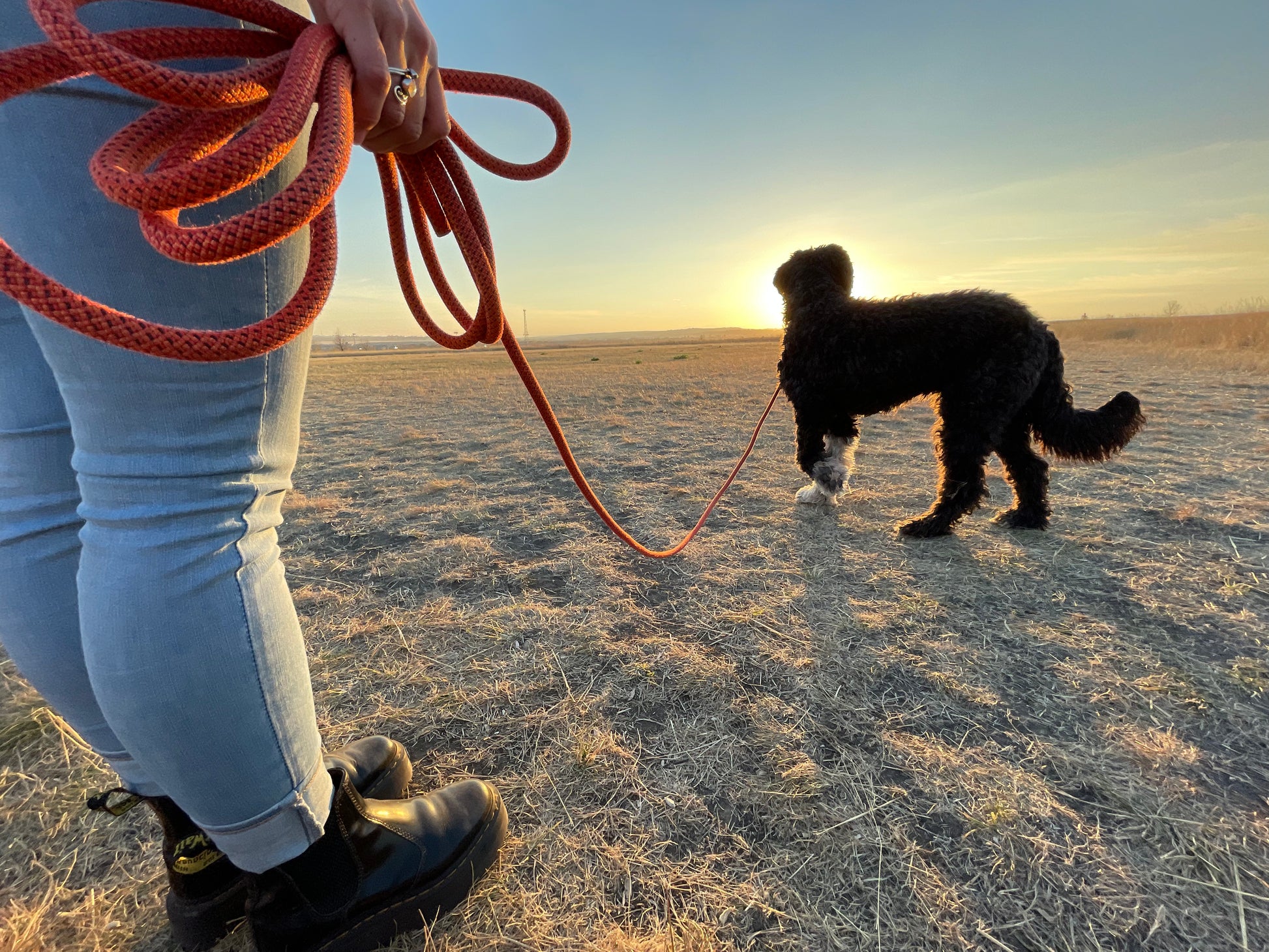 Rope Long Leash made from Upcycled Climbing Rope In Canada