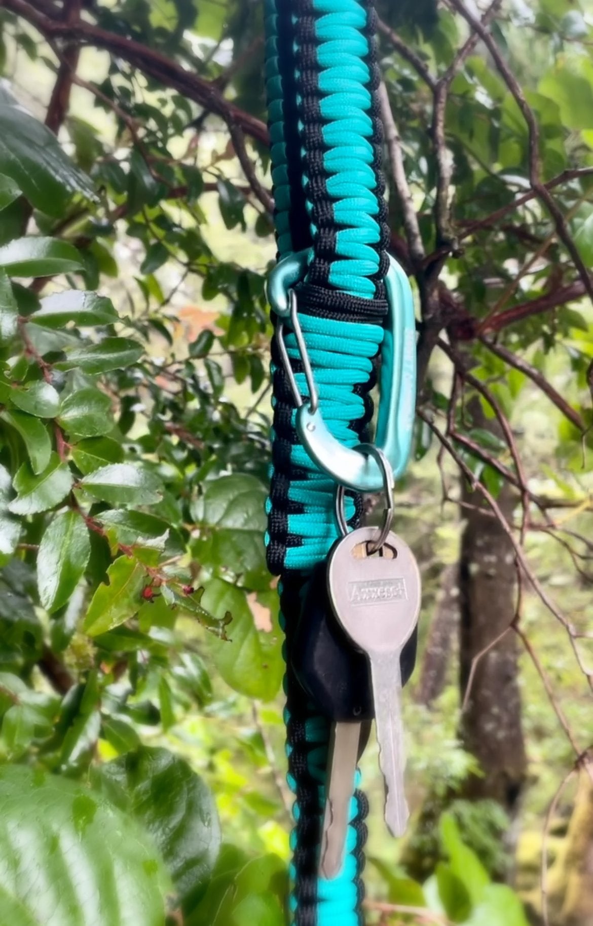 Against ordinary carabiner clipped to a leash with subaru keys
