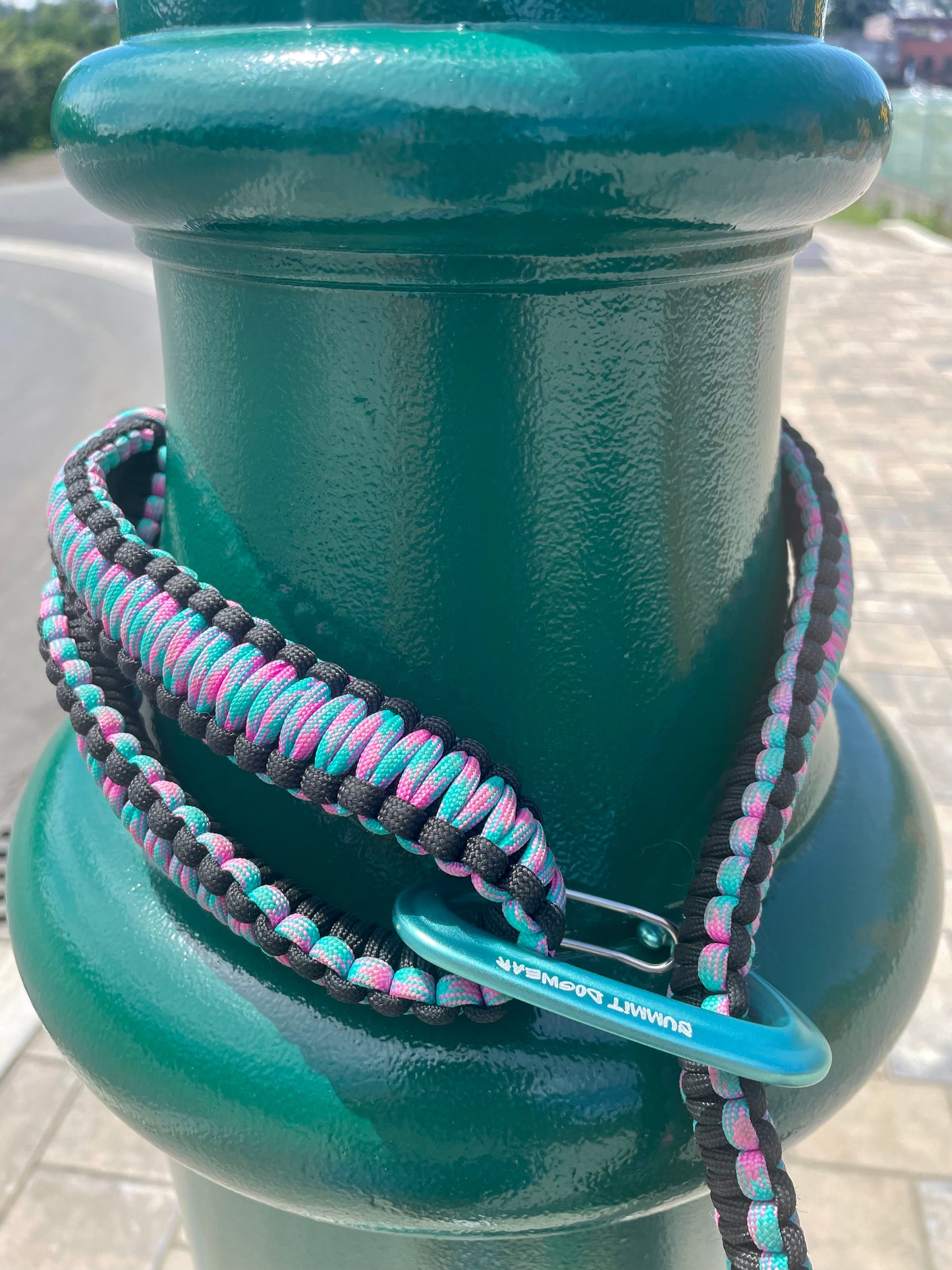 Cotton Candy Karma leash cliped around a green post with an against ordinary carabiner