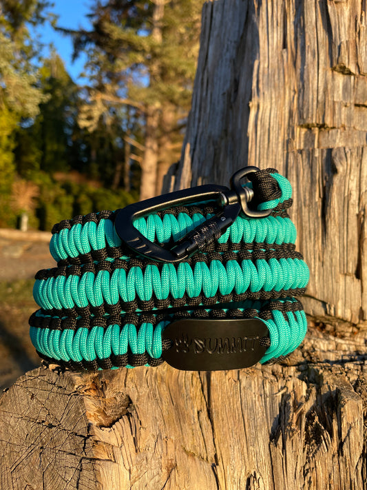 Top selling bright teal Paracord dog leash with locking carabiner and non-slip grip on beach in Tofino Canada