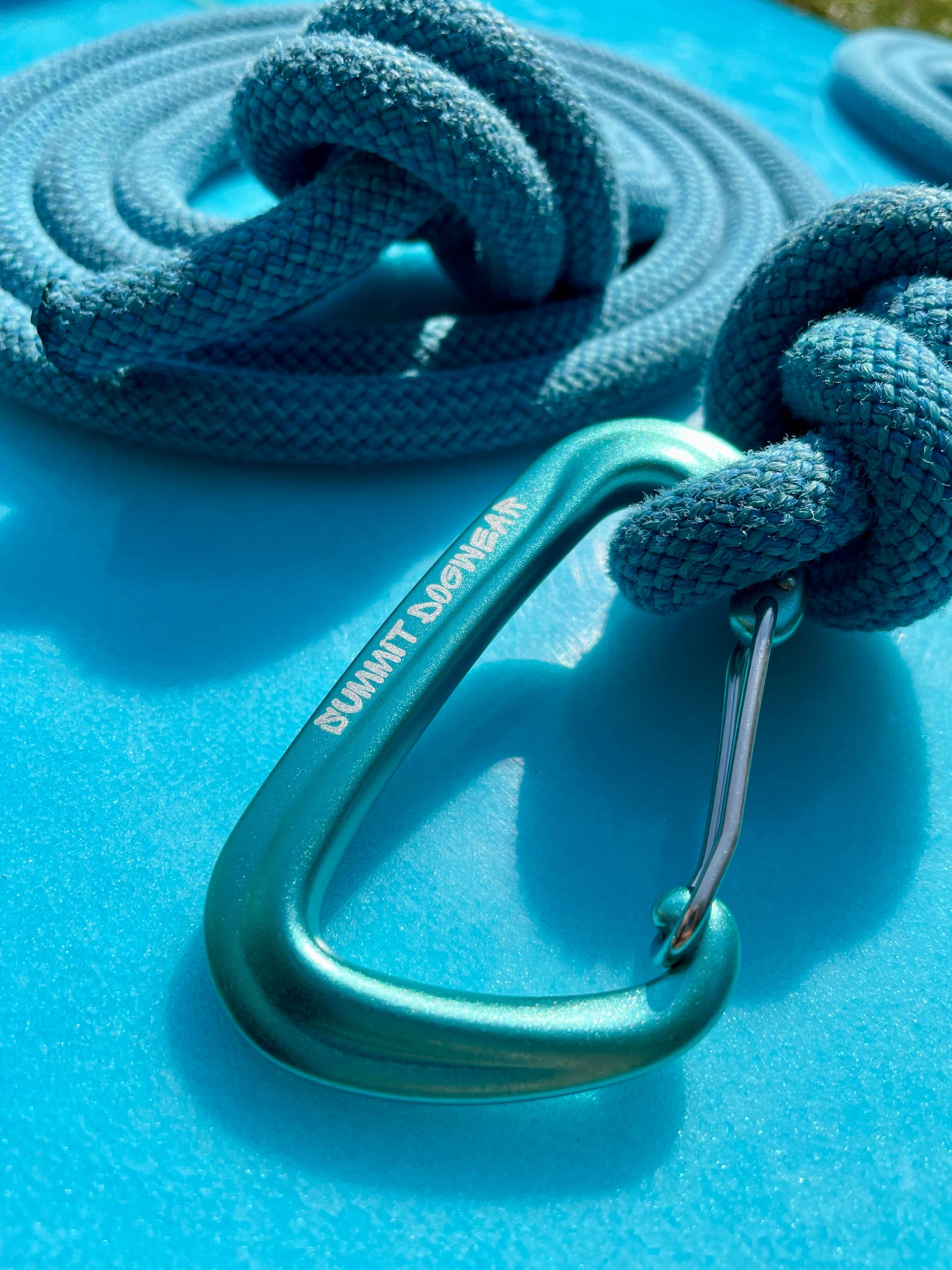 Upcycled Climbing Rope Dog Leash in Blue and Teal