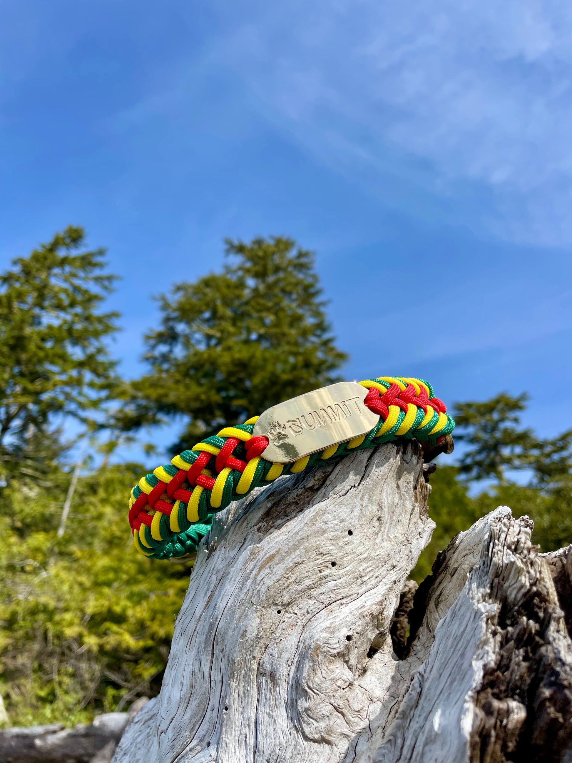 Rasta Paracord Dog Collar with Gold Hardware On Driftwood In Tofino