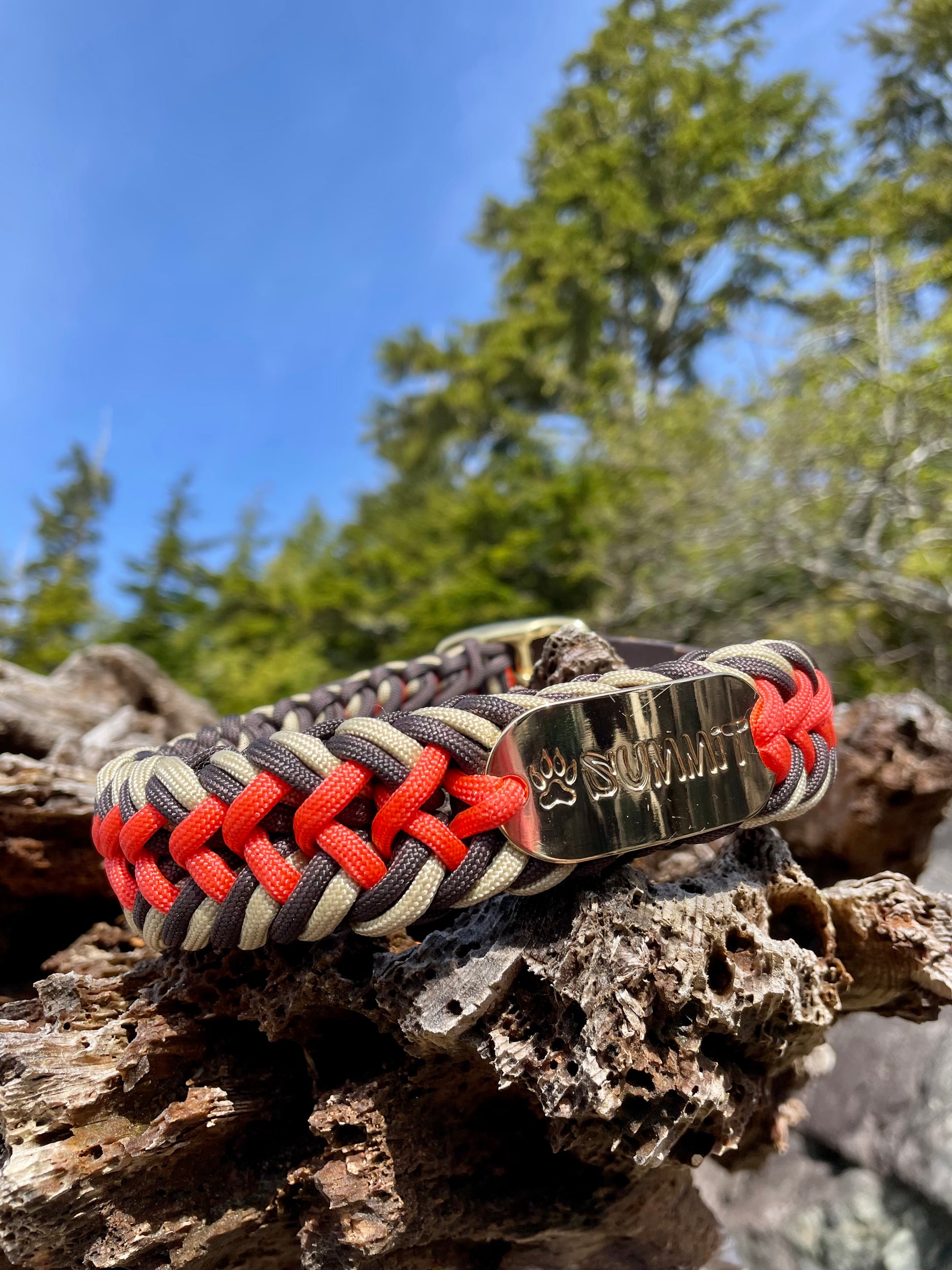 Retro Summer Paracord Dog Collar with Belt and Gold hardware on Driftwood In Tofino