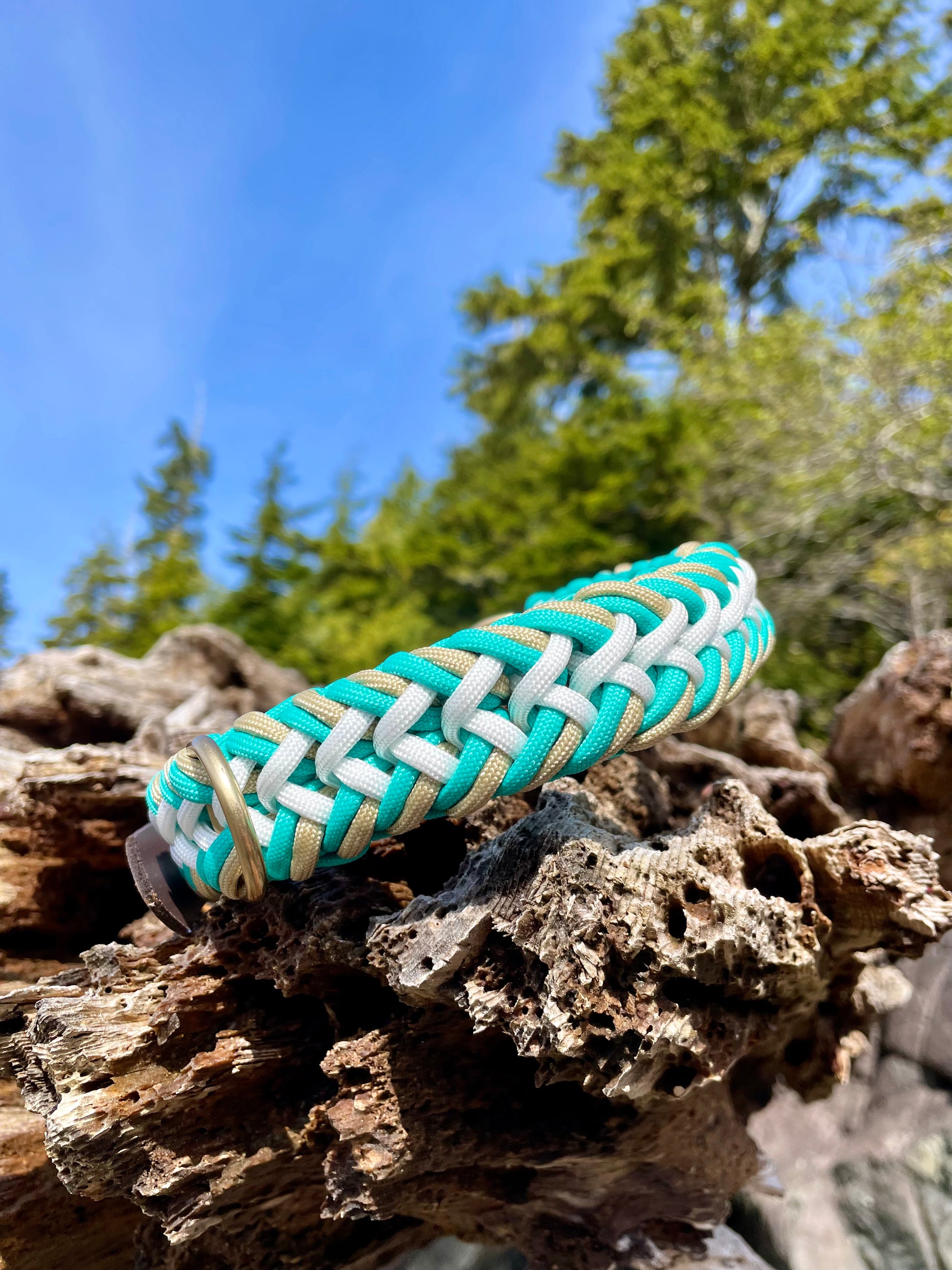 Beautiful Teal Paracord Dog Collar With Gold Hardware and leather or biothane belt