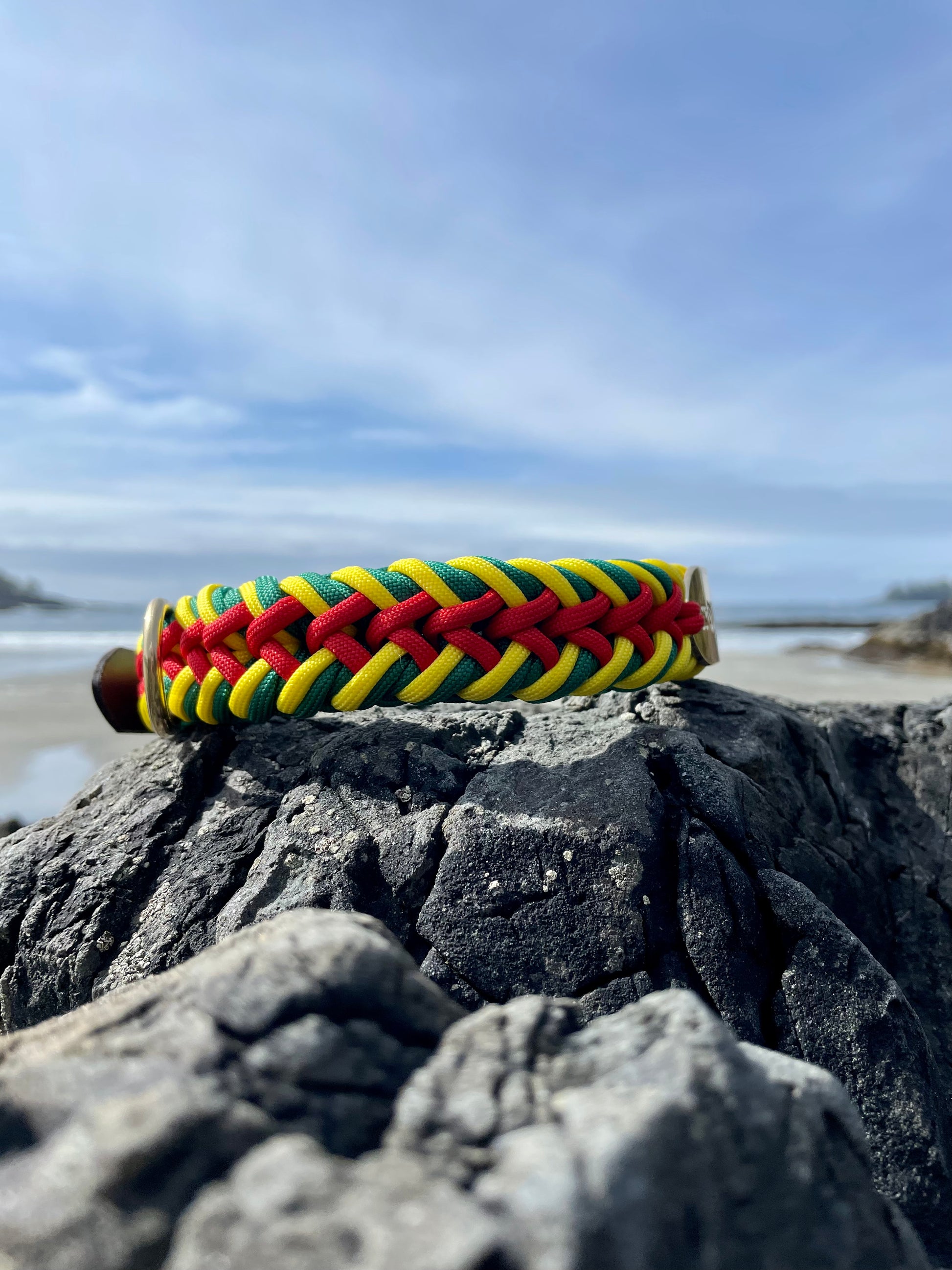 Rasta Paracord Dog Collar with Gold Hardware On Driftwood In Tofino